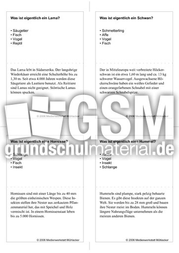 Quiz-Karten-Tiernamen 19.pdf